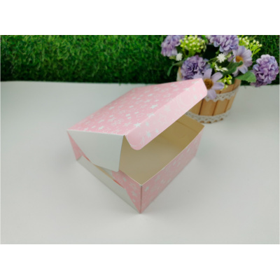 snackbox5x5x2_5-inch-ba1001005-starry-sky-1-pink-pic4